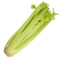 seler-naciowy.jpg