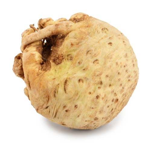 Seler ekologiczny BIO z Rarytasów Dolnośląskich