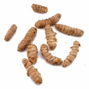 Kurkuma eko ~250g
