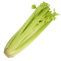 seler-naciowy.jpg