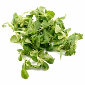Roszponka eko 0,125g