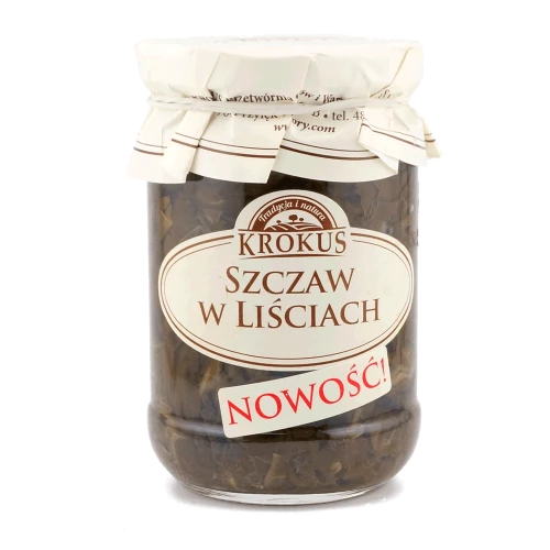 szczaw-w-liściach.png