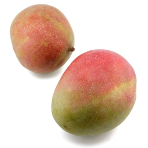 Mango EKO