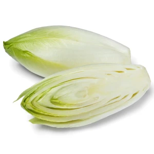 Cykoria EKO (2szt. =~500g)