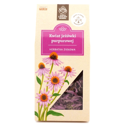 kwiat-jeżówki-purpurowej.png