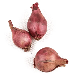Cebula czerwona ekologiczna