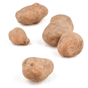 Ziemniaki ekologiczne kg