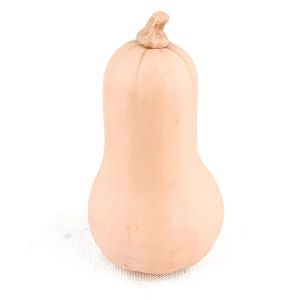 Dynia piżmowa eko import
