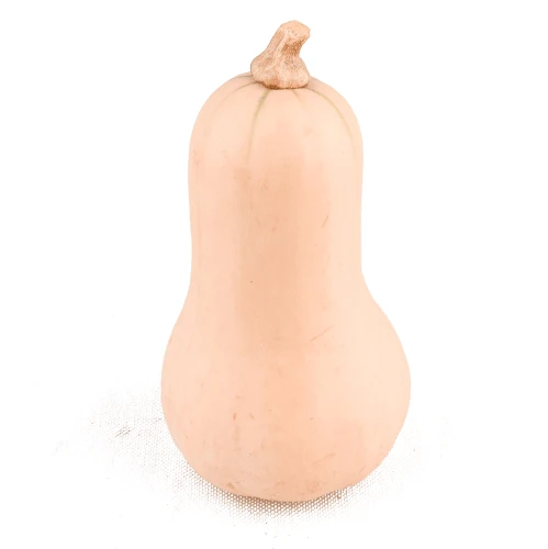 dynia-piżmowa.png