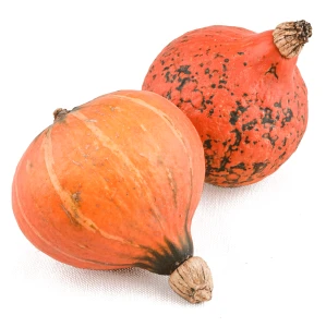 Dynia Hokkaido EKO (1szt = ~1,6kg)