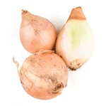 Cebula ekologiczna kg