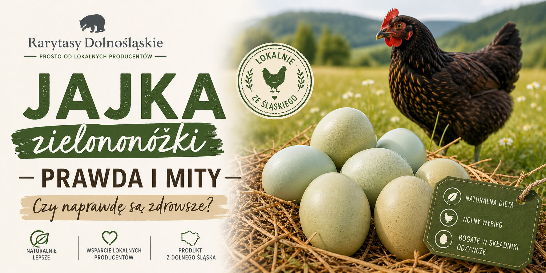 Jajka zielononóżki — prawda i mity. Czy naprawdę są zdrowsze?